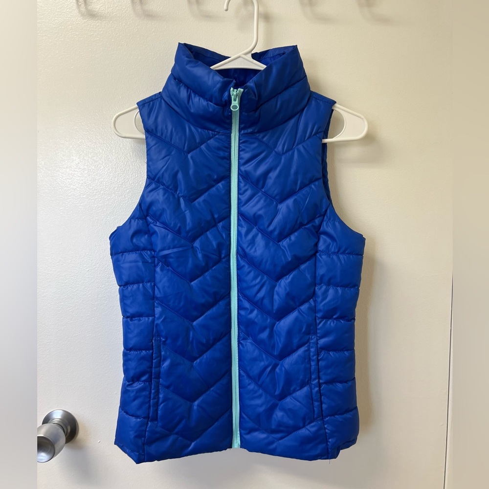 Blue Puffer
